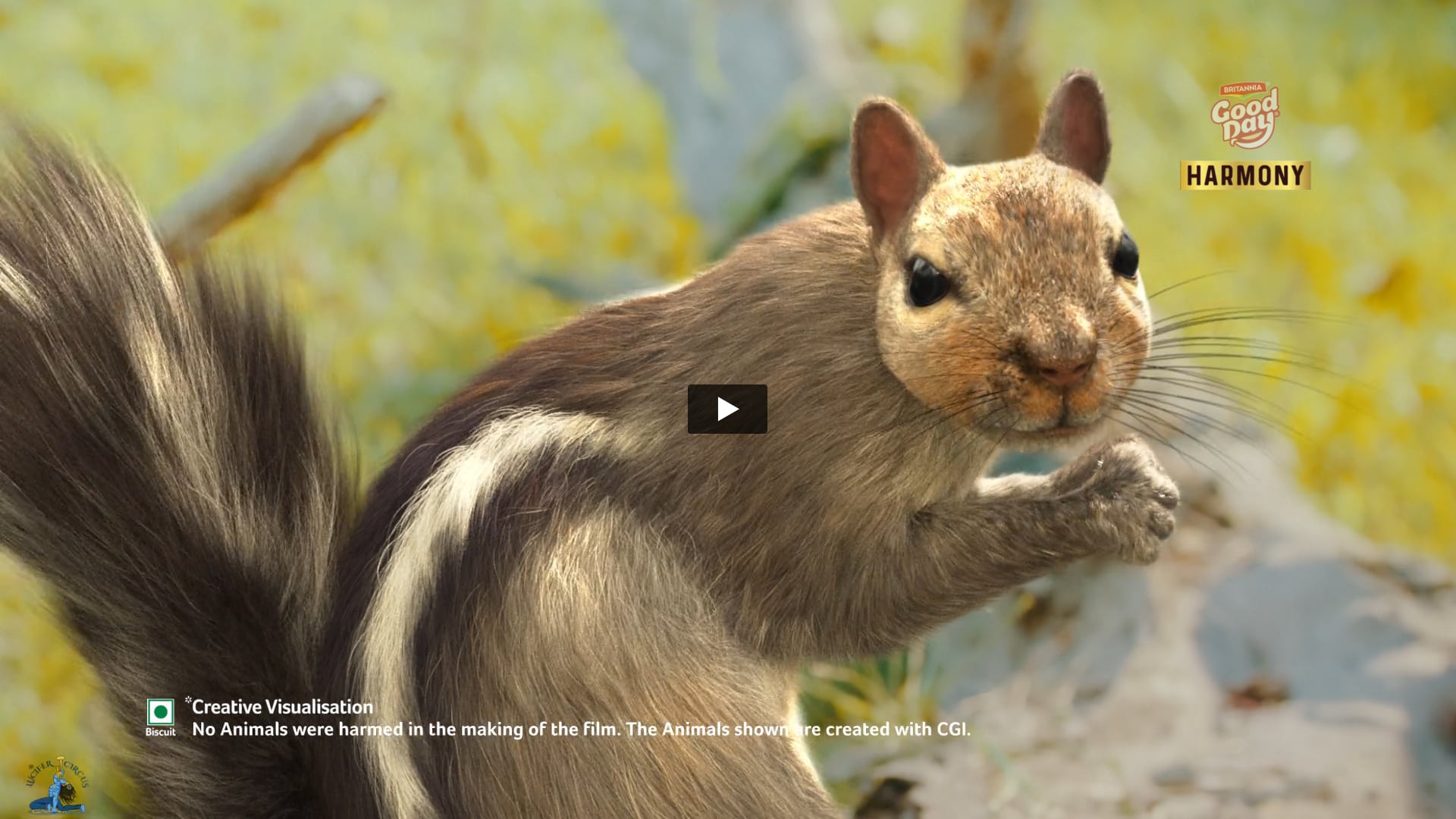 Britannia Good Day - Harmony | DoP by Akhilesh Yadav