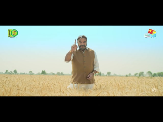 Indogulf - Bio Gold | Colourist by Bhusan 