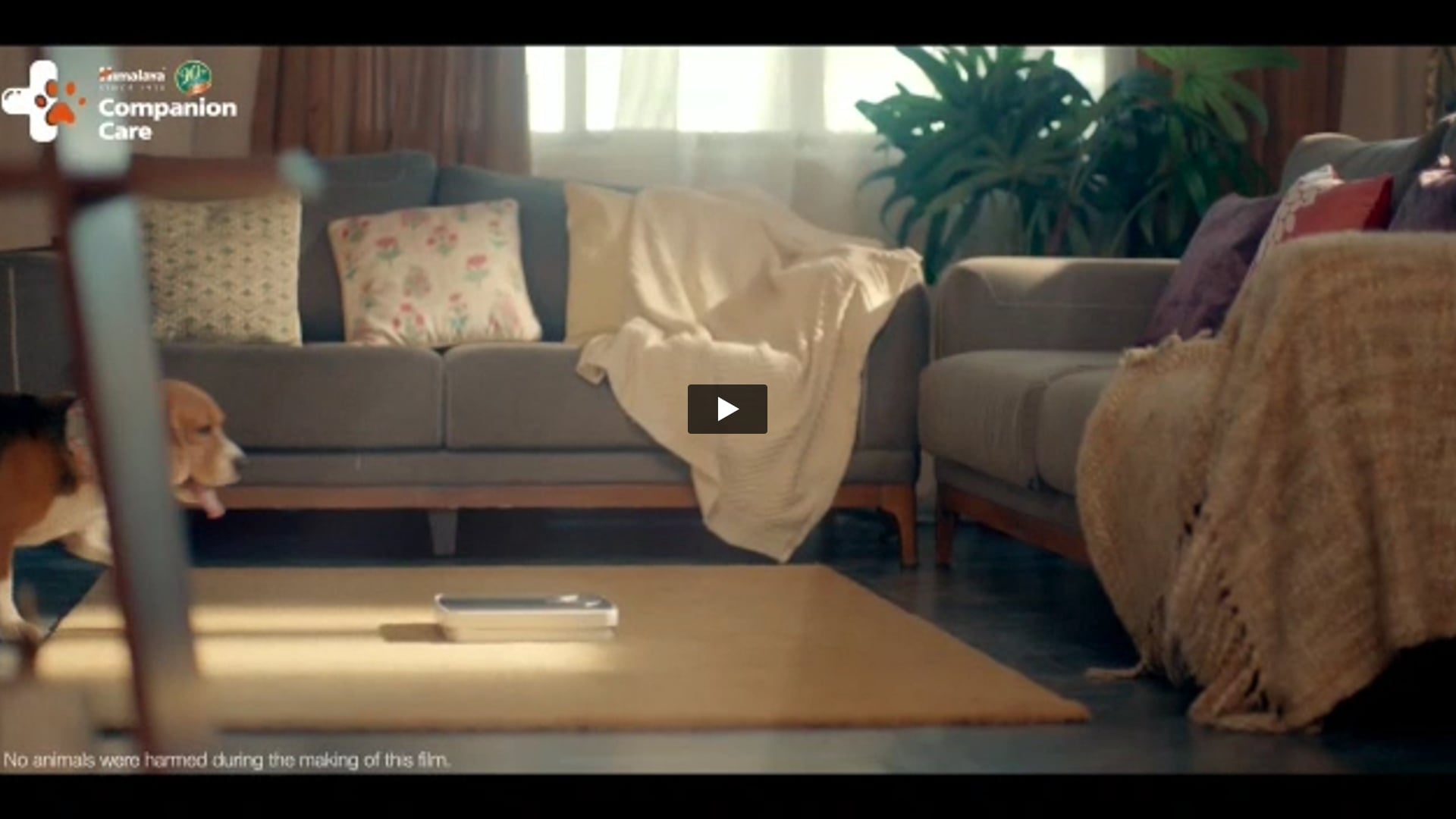 Himalaya Healthy Pet Food | Animal Handler by Joseph 