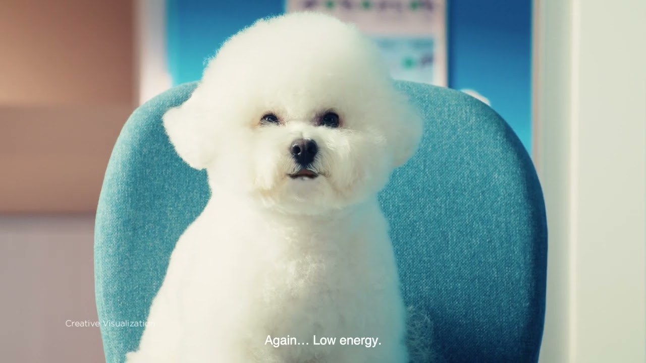 Godrej Ninja - Dr Dogg | Online Editor by Lakshman Hile