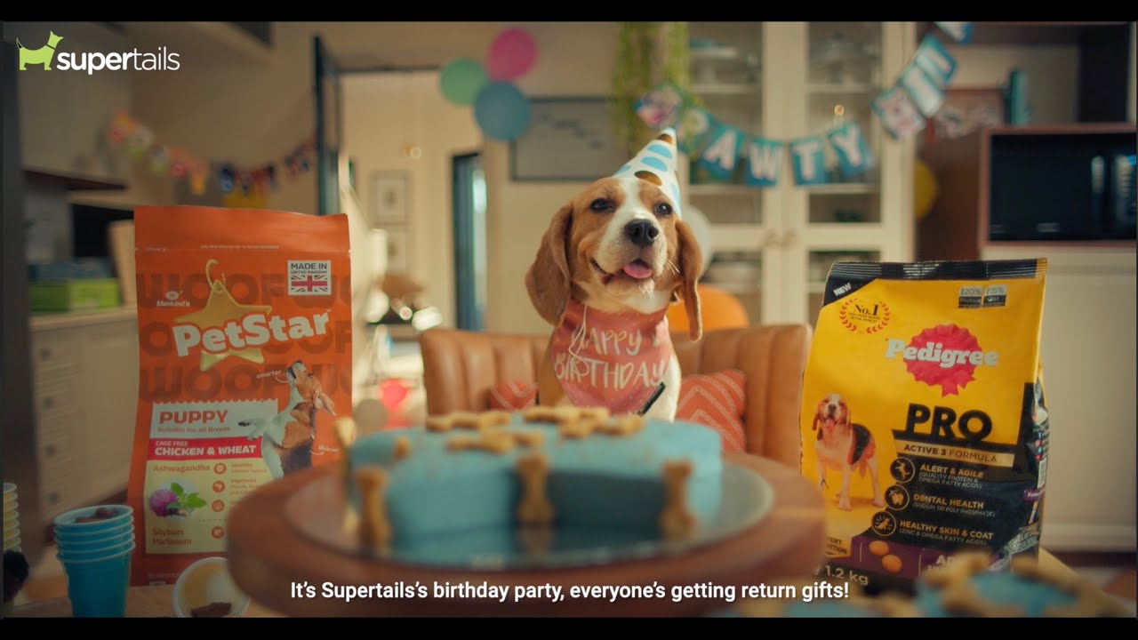 Supertails - Big Birthday Bash | Gaffer by Rashid 