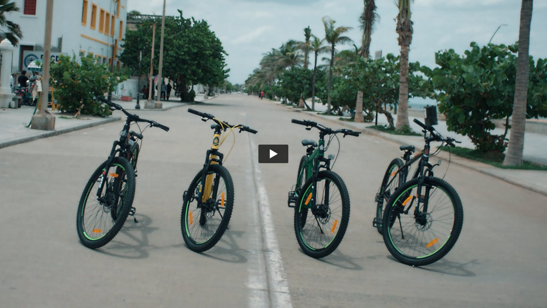 Cult.sport - Bike 2/3 | Animal Handler by Jai 