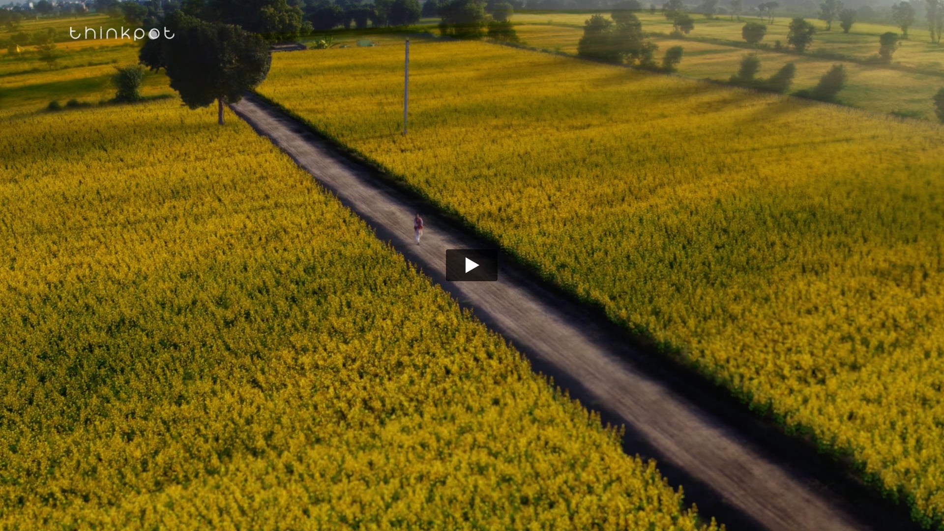 Axis Bank - Amritsar Film | Art Director by M Bava