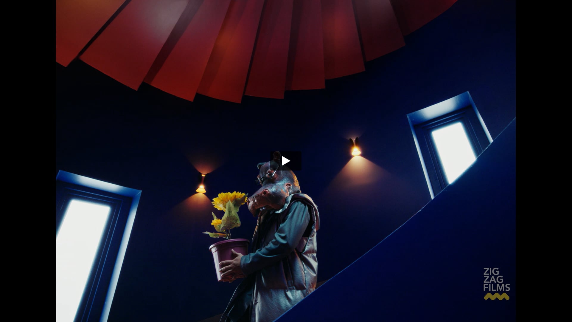 slice - Cheetah and Hippo | Line Producer by Tufail Ahmed