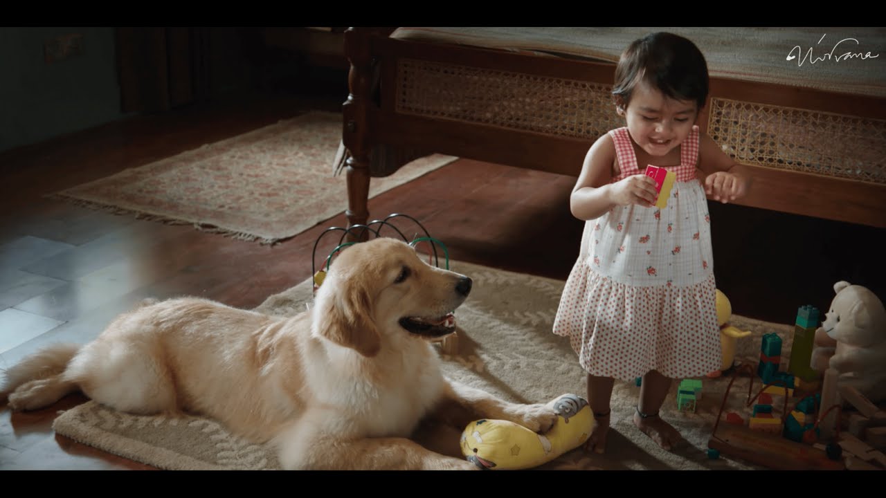 Dorset - Every Door Deserve A Dorset | Live Sound Recordist by Ashish Suresh Shinde