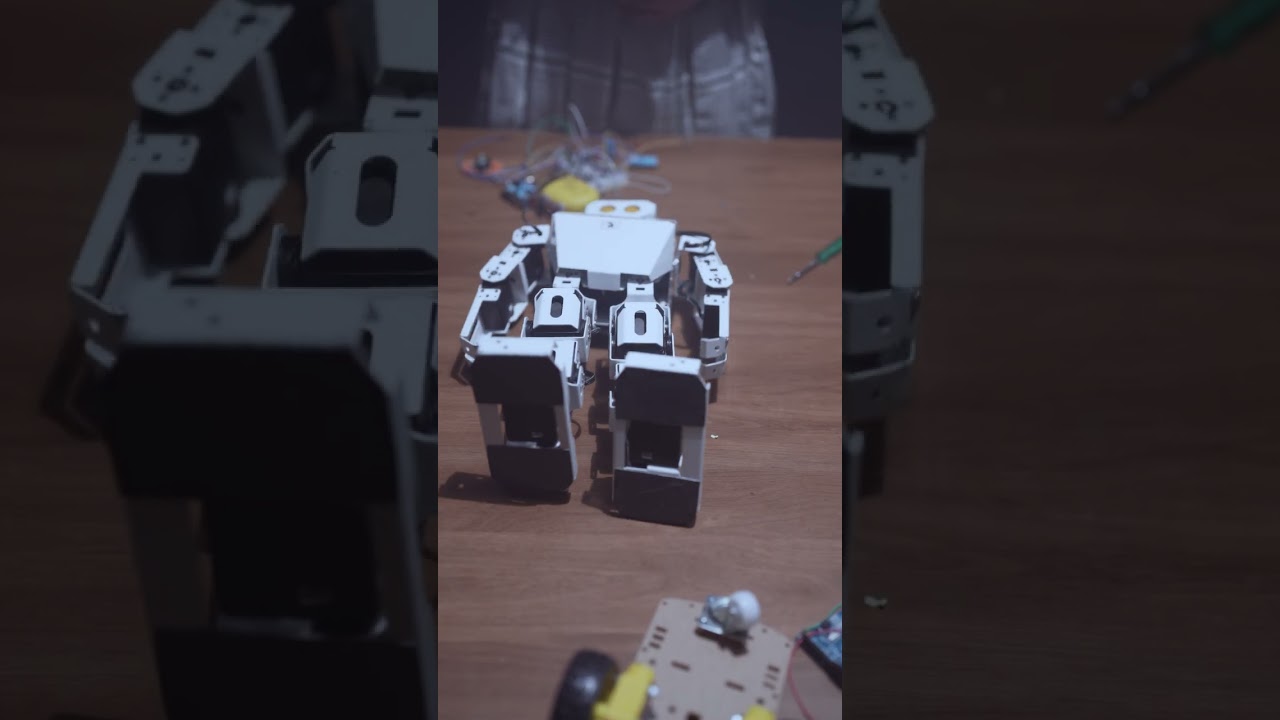 Basil Woods School - Robotics Creativity Endlessly Thrives | Gaffer by Nakul Chandrappa